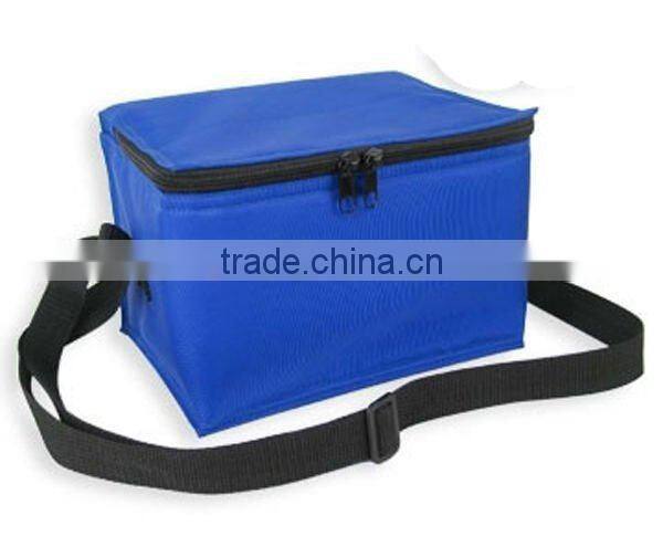 cooler bag for frozen food