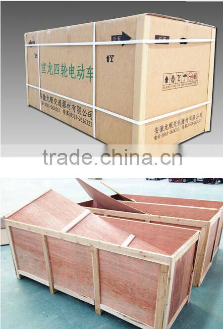 Large Size Electric Scooter with Canopy for Outdoor Use