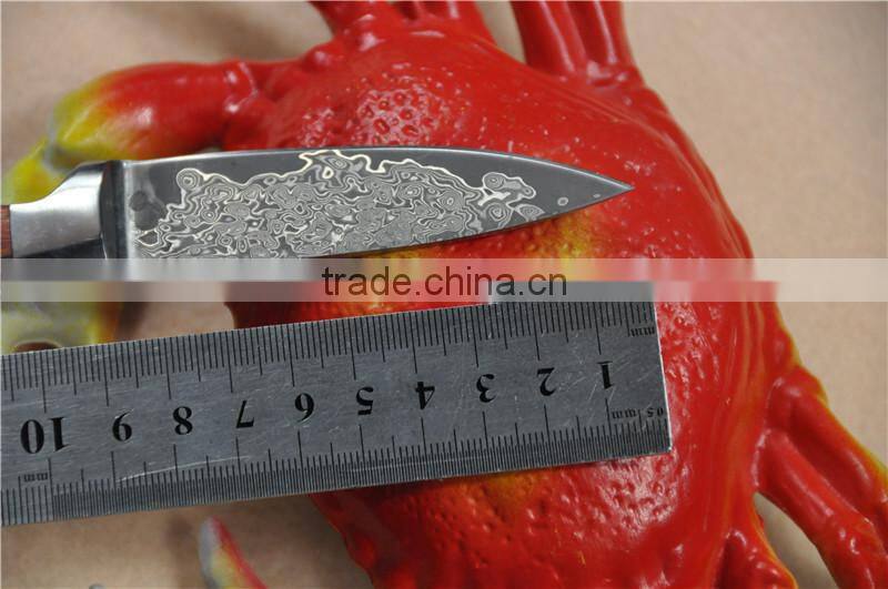 Damascus bowie combat hunting knife FLDL-WG0012