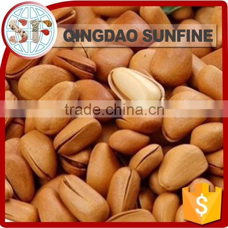 Raw & roasted organic organic pine nuts in shell