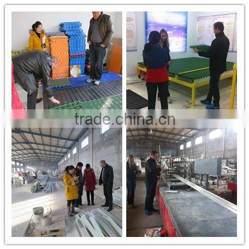 Poultry farms equipment, animal husbandry equipment, plastic floor beams for Pig farming equipment
