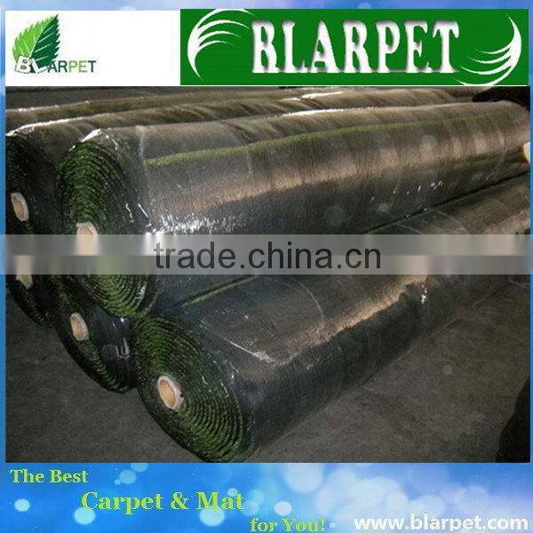 Updated exported backyard landscaping grass