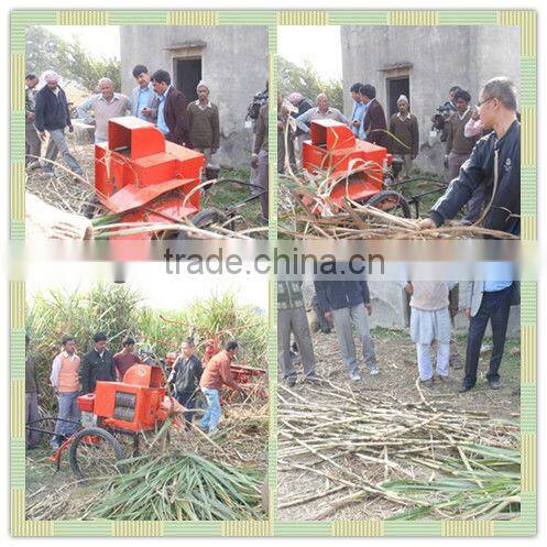 2013 Hot Popular Mini Sugar Cane Top Cutter 6BZ-5
