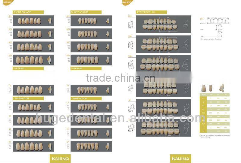 4 layers acrylic teeth KAIJING T5