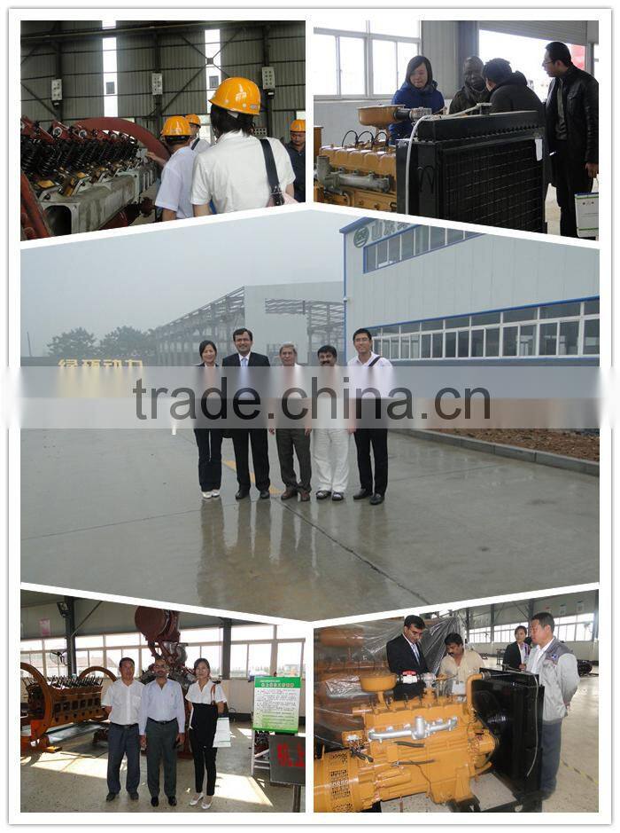 Chinese best factory natural gas generator prices 300kw