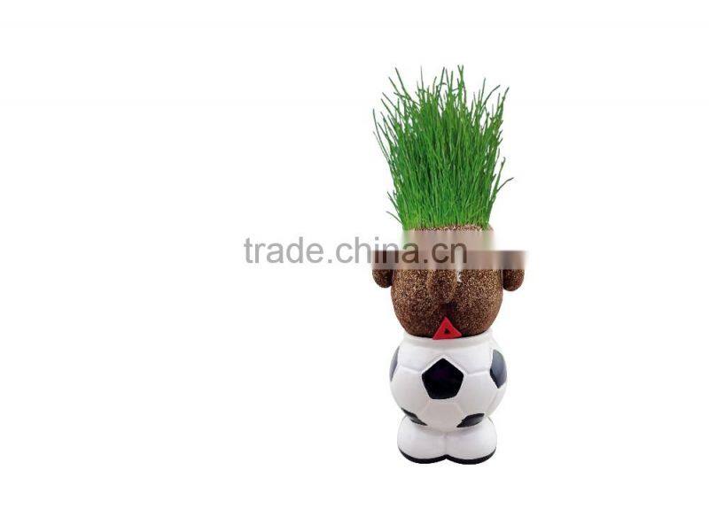 Garden Decoration indoor plant pots mini planters buy flower online