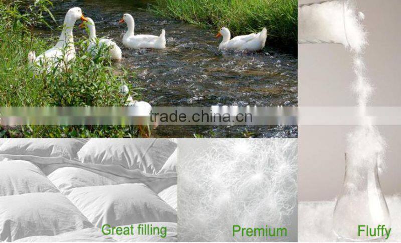Comfort 1200 Thread Count Goose Down Alternative Comforter Egyptian Cotton 750 Fill Power