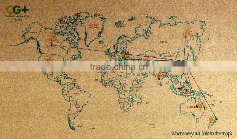 fashion design biodegrable and wholesale simple square plate