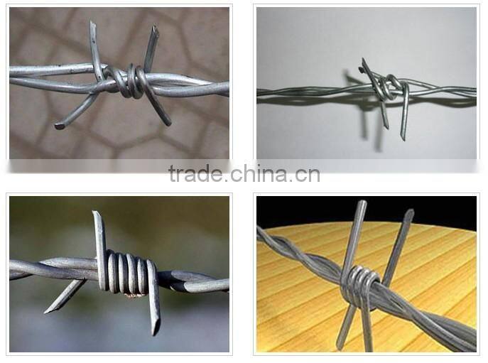 Double Stranded and Single Stranded Galvanized Barbed Wire