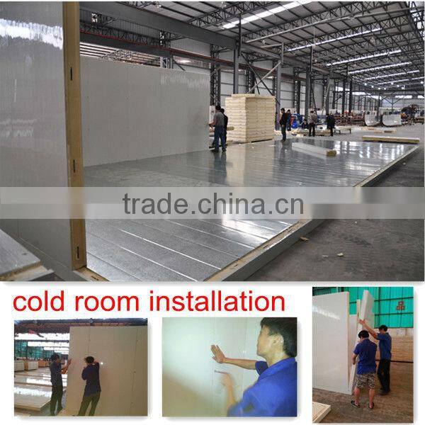 double temperatures cold and freezer room for vegetable &meat