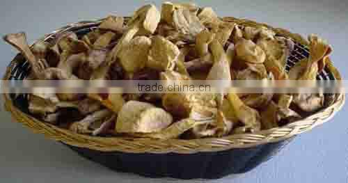 100% natural high quality Agaricus Blazei Extract