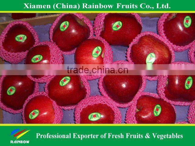 Red delicious Apple with good taste
