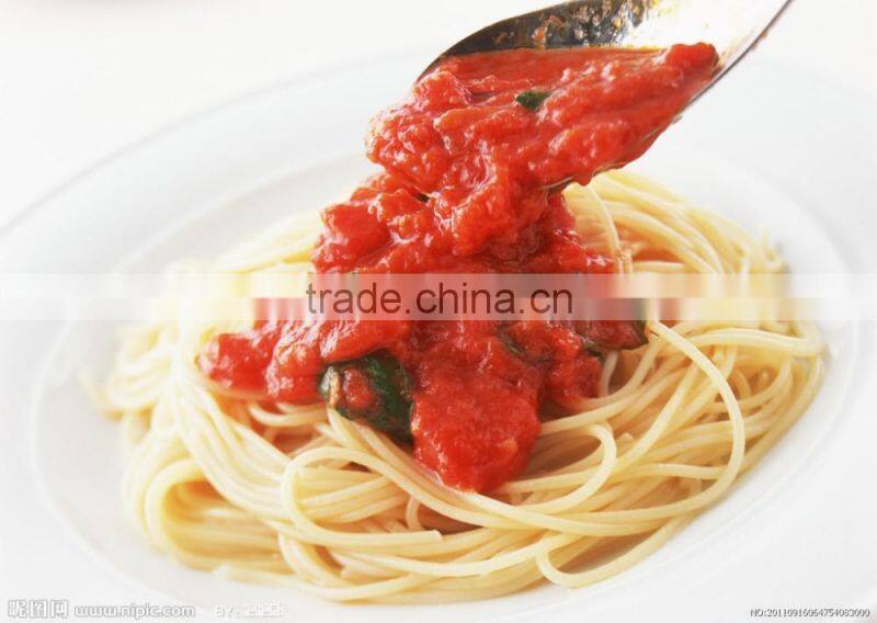 Tomato Ketchup tomato sauce OEM China manufacturer factory for Africa