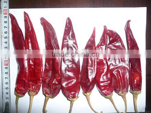 high pungency whole American red chili