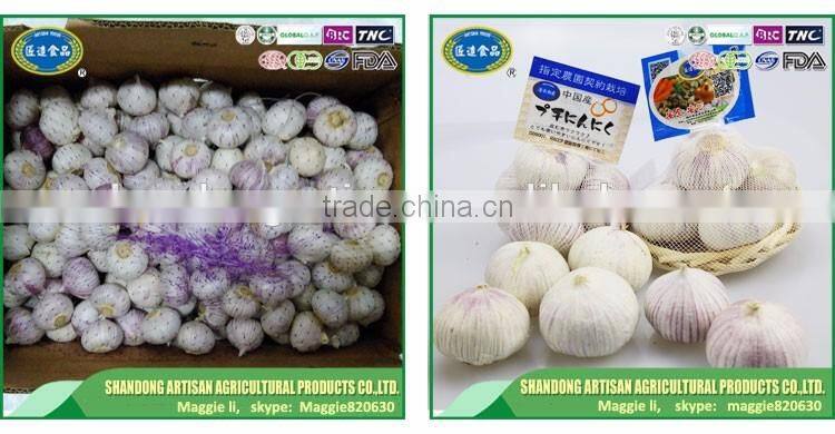 Good price of single clove garlic packing with ISO9001 certificate