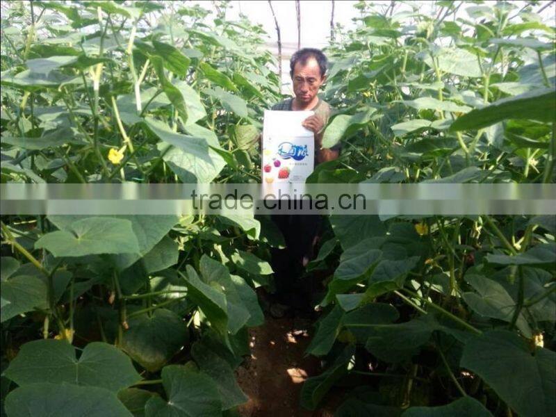 Liquid Fertilizer With Bacteria