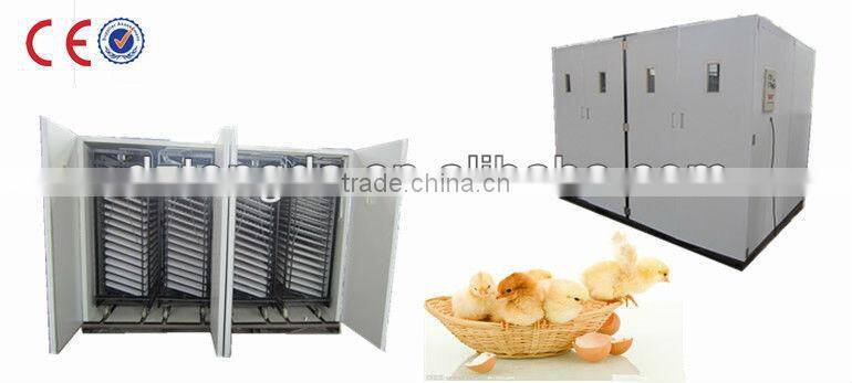 10000 eggs poultry egg incubators cheap prices hoy sale TD-9856