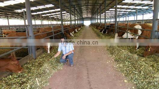 Farm Machinery Used Disc Type China Wood Chipper for Sale / Wood Chipper with Diesel Engine/Wood Chipper