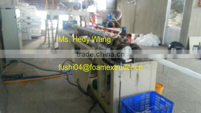 CE & ISO9001 Apple/Guava/Melon/Mango PE Foam Net/Pad Extrusion Machine