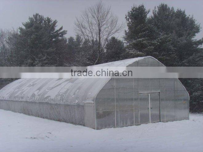 Single span plastic film tunnel greenhouse