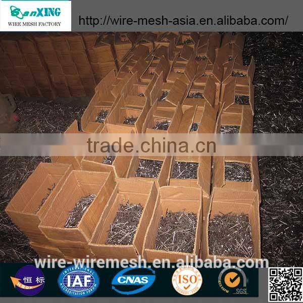 Q195 umbrella head twist shank roofing nails