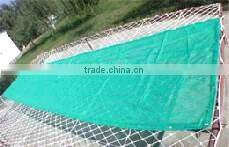 scaffold safety net