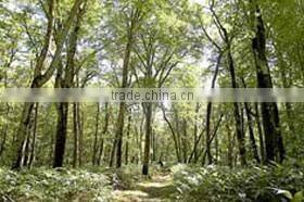 Real estate , Kuromatsunai , Hokkaido , Beautiful Land