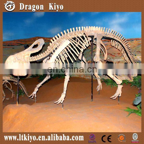 Museum Life Size Dinosaur Fossil For Sale