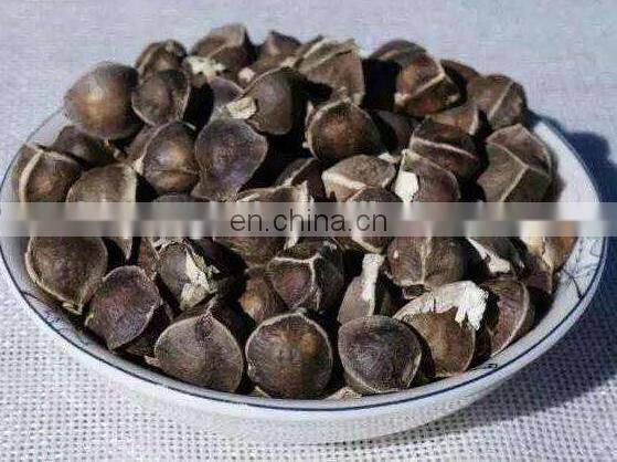 Factory price good quality moringa seed shelling machine