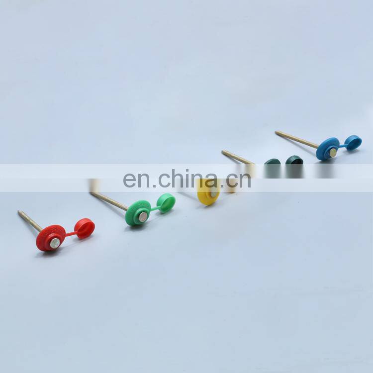 Plastic Cap Umbrella Head Roofing Nails Stainless Steel Nails With Plastic Head