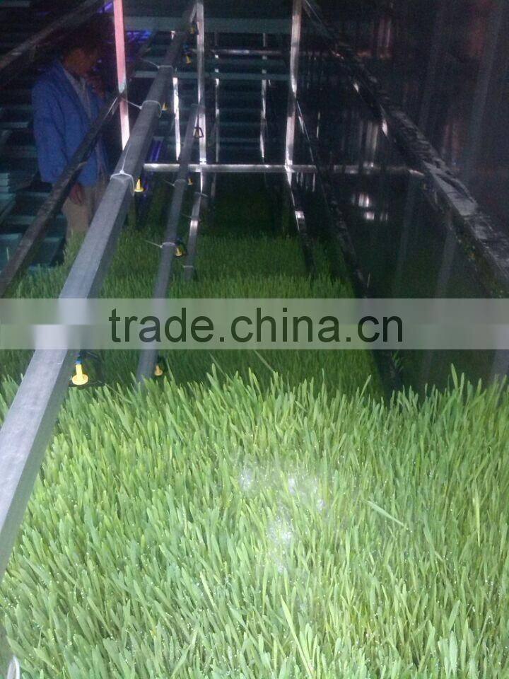 500kg animal fodder hydroponics