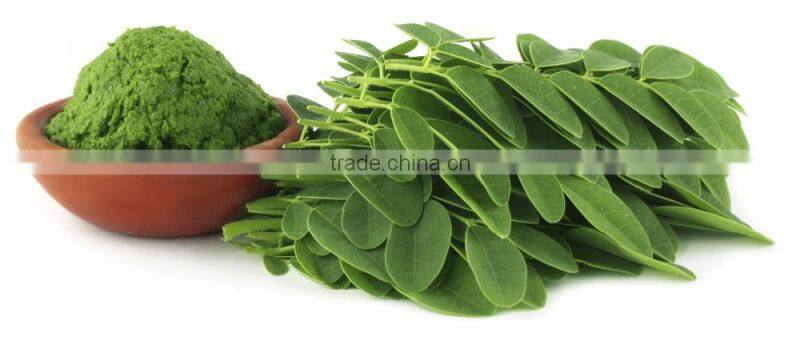 High Grade Moringa Leaf Powder For Healthy Life