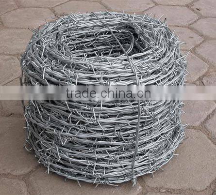 PE Barbed Wire 2