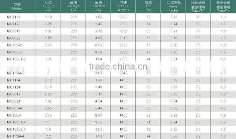 MC IEC Standard Motor