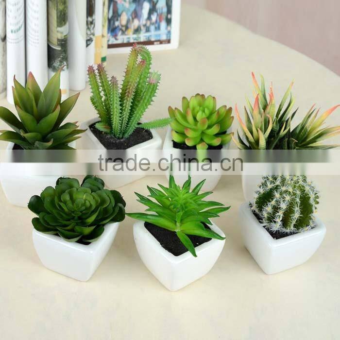 Wholesale high quatity artificial decorative succulent plants,cheap artificial plants