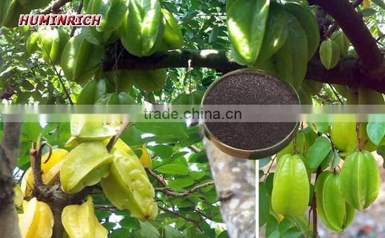 Huminrich HUMIC ACID (Hoa chat co ban dung trong cong nghiep- khong dung trong cong nghiep thuc pham) (Hang moi)