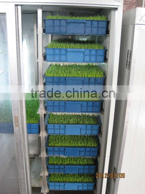 Hydroponics Animal Fodder Machinprofessional automatic oat rooting machine /bean budding machine/animal fodder sprouting machine