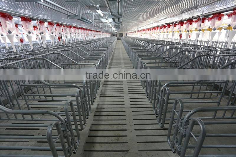 pig raising equipment and its price in