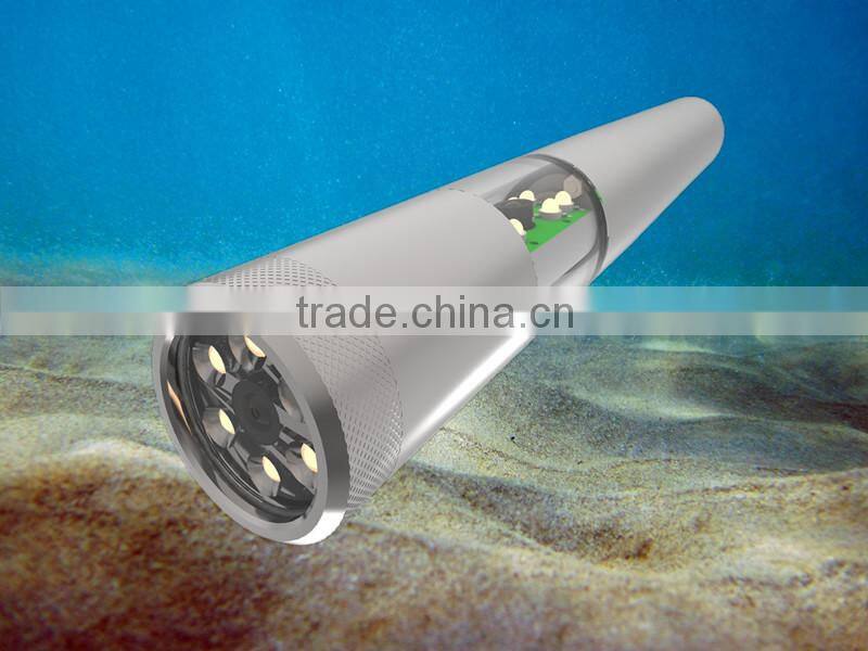 Waterproof Professional 360 Degree Rotary Double Cameras in Viewing System