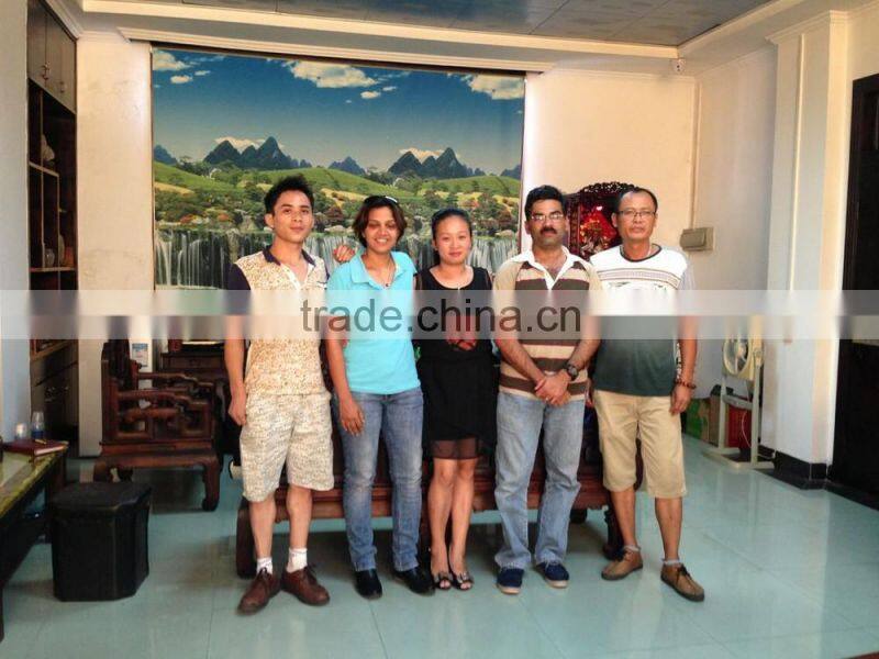 Hot selling Solar Mobile Flashlight LED solar charge radio