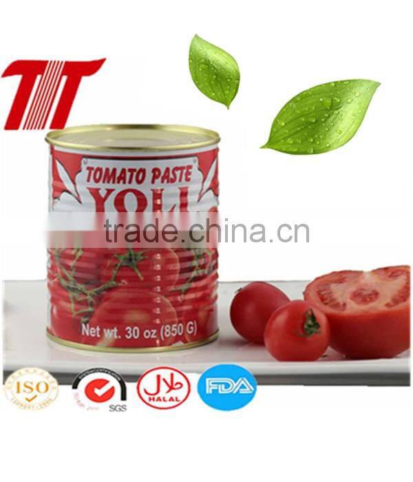 Double Concentrated Sachet Tomato Paste OF YOLI Brand with Low Price