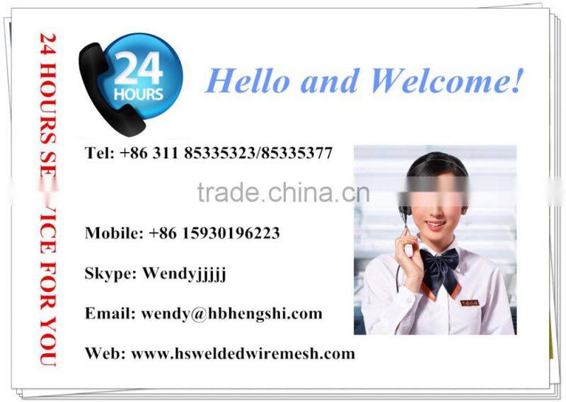 various specification nail/smooth nail/common wire nail