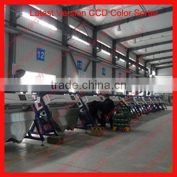 320 Channels Garlic Color Sorting Machine for Sale 0086 371 65866393