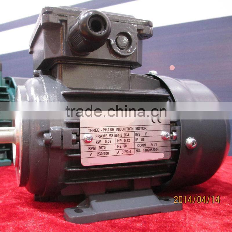 IE1 Standard Three Phase Asynchronius Motors Aluminum Housing MS561 2
