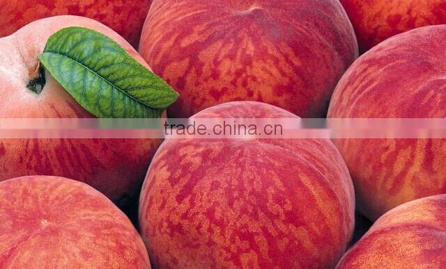 New design microwave vacuum dryer for peach slice