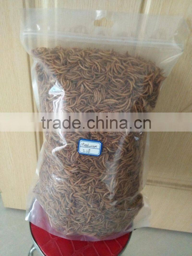 Pet Food Manufacturer High Quality Chicken Feed Mealworms, Mealworms High Protein Bird Food