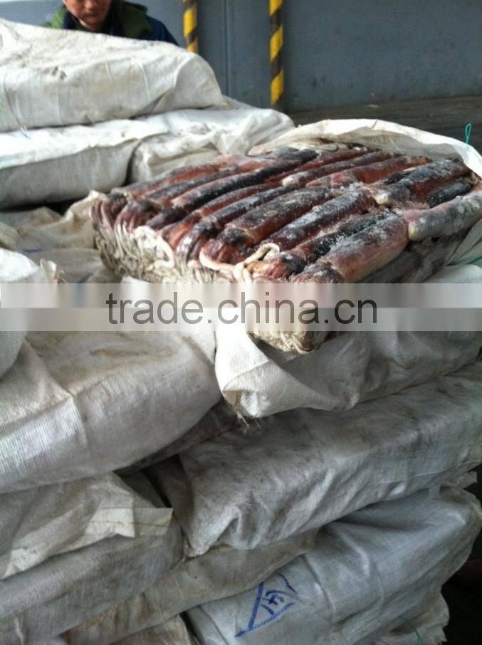 200-300G Frozen Argentina Illex Squid