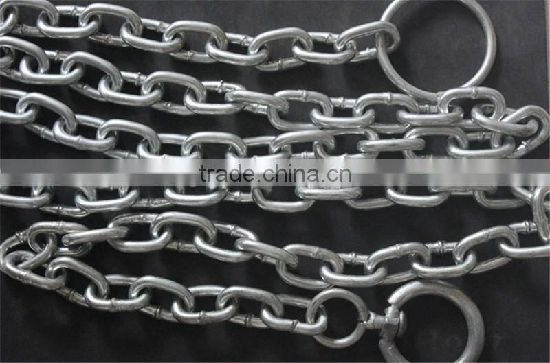 OEM pet chain direct from factory