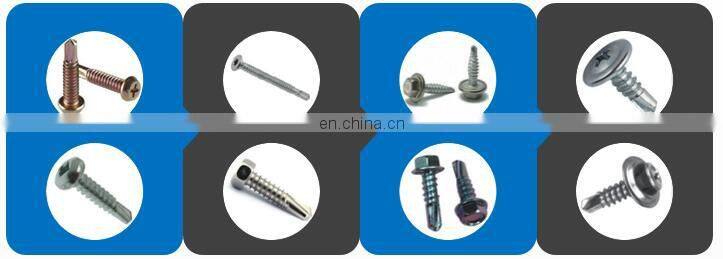 Phillips pan head tapping screw with glue patch