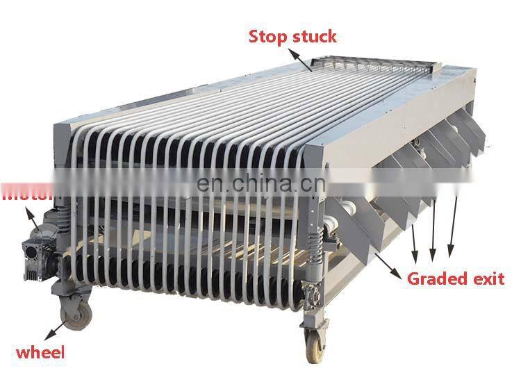 Fruit And Vegetable Sorting/Grading Machine.